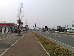 20090412951s.jpg