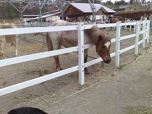 200905031031s.jpg