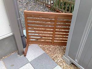 200905101096s.jpg