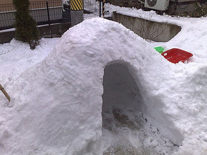 201001091723s.jpg