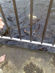 201007192111s.jpg