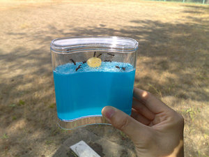201009182180s.jpg