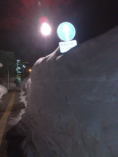 201201302913s.jpg