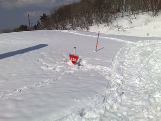 201204082985s.jpg