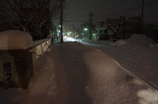 DSC00468s.jpg