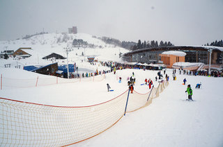 DSC00750s.jpg