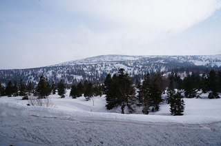 DSC00987s.jpg