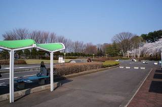 DSC05643s.jpg