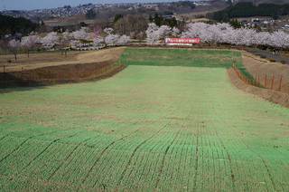 DSC05674s.jpg