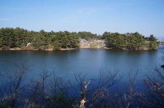 DSC07601s.JPG