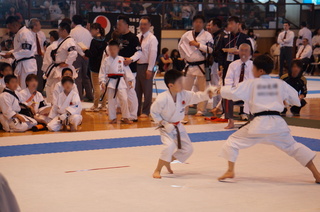 DSC07748s.JPG