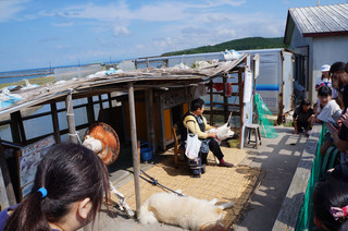 DSC08421_R.JPG