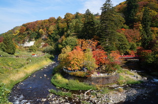 DSC08810s.JPG