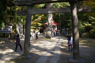 DSC08829s.JPG