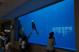 DSC09174_R.JPG