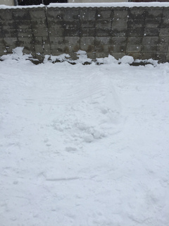 IMG_0618s.JPG
