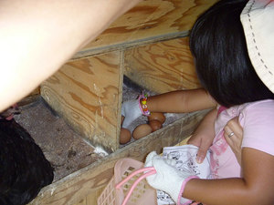 P1000036s.jpg