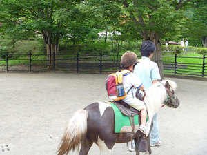 P1000287s.jpg