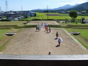 P1000305s.jpg