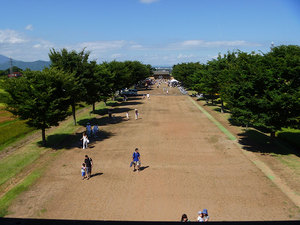 P1000306s.jpg