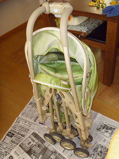 P1000528s.jpg