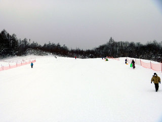 P1000537s.jpg