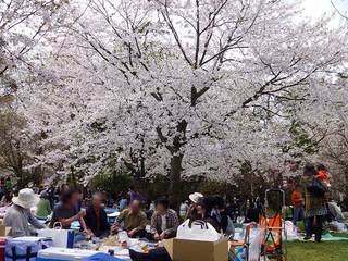 P1000781s.jpg