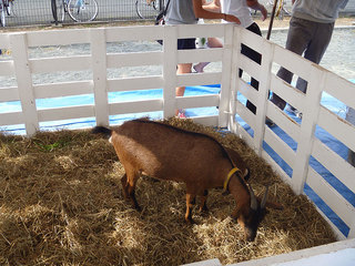 P1010175s.jpg