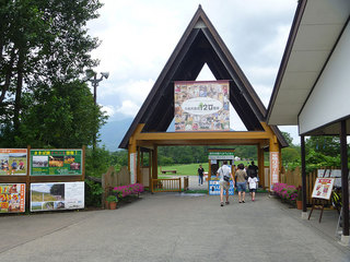 P1010272s.jpg