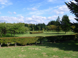 P1010391s.jpg