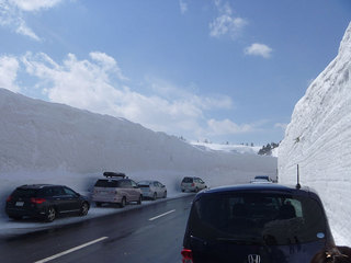 P1010851s.jpg