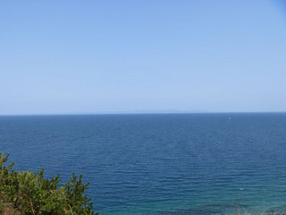 P1010939s.jpg
