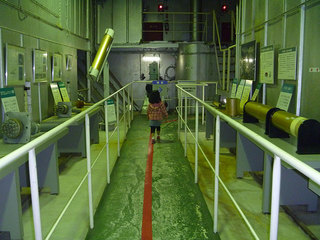 P1020014s.jpg