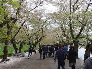 P1020055s.jpg