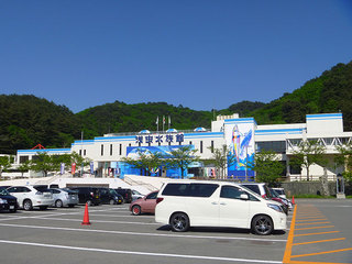 P1020238s.jpg