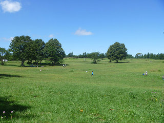 P1020889s.jpg