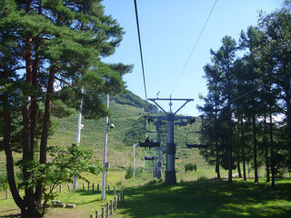 P1020899s.jpg