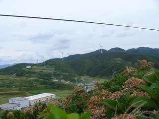 P1030062s.jpg