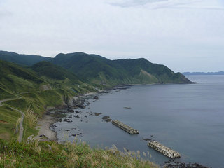 P1030071s.jpg