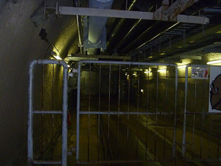 P1030092s.jpg
