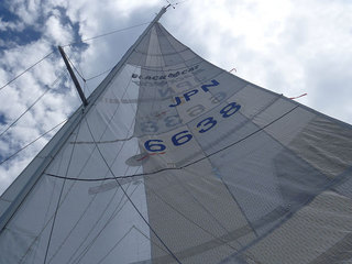 P1040137s.jpg